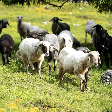 Wimbachlehen Apartman Ramsau bei Berchtesgaden Kültér fotó